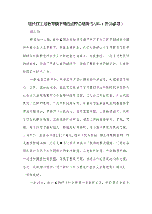 组长在主题教育读书班的点评总结讲话材料.docx