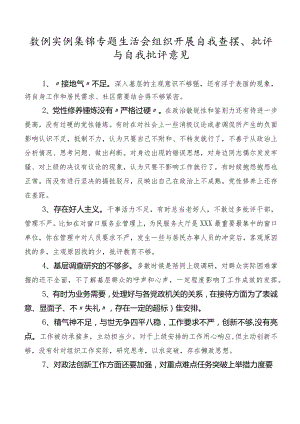 数例实例集锦专题生活会组织开展自我查摆、批评与自我批评意见.docx