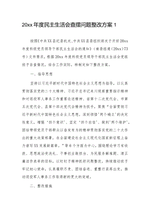20xx年度民主生活会查摆问题整改方案2篇.docx