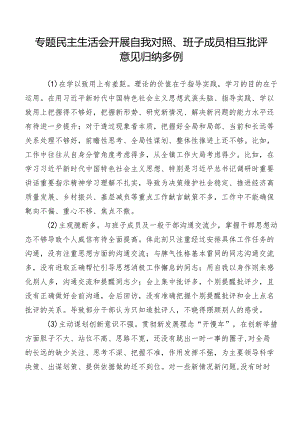 专题民主生活会开展自我对照、班子成员相互批评意见归纳多例.docx