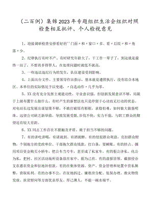 （二百例）集锦2023年专题组织生活会组织对照检查相互批评、个人检视意见.docx