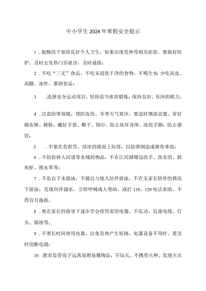 中小学生2024年寒假安全提示（2024年）.docx