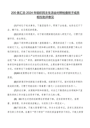 200条汇总2024年组织民主生活会对照检查班子成员相互批评意见.docx
