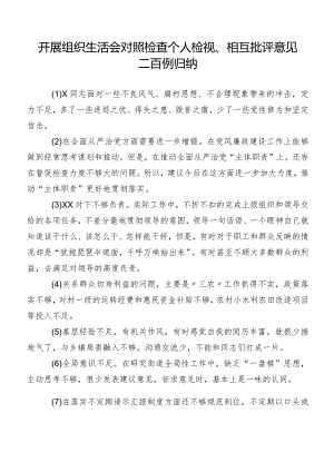 开展组织生活会对照检查个人检视、相互批评意见二百例归纳.docx