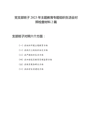 党支部班子在组织开展主题教育、在执行上级组织决定、严格组织生活、加强党员教育管理监督、联系服务群众、抓好自身建设六个方面2023年度.docx