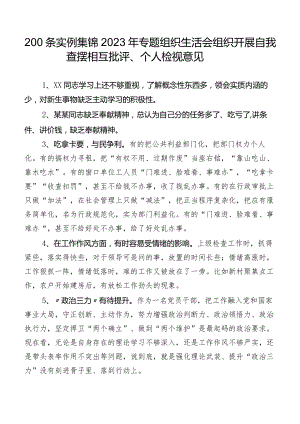 200条实例集锦2023年专题组织生活会组织开展自我查摆相互批评、个人检视意见.docx