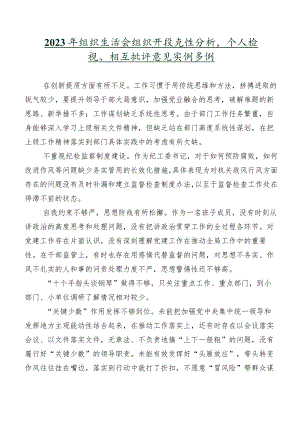 2023年组织生活会组织开展党性分析、个人检视、相互批评意见实例多例.docx