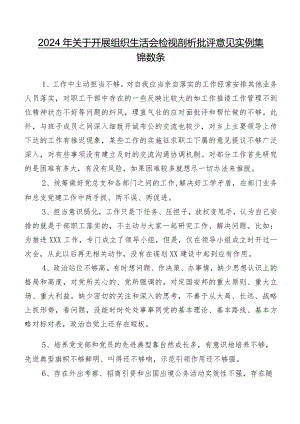 2024年关于开展组织生活会检视剖析批评意见实例集锦数条.docx