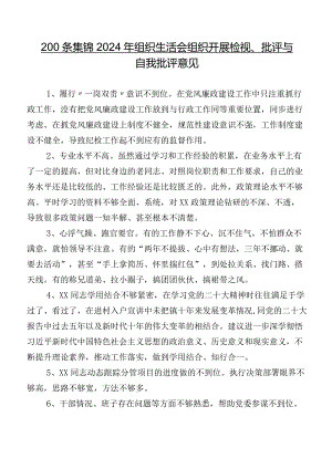 200条集锦2024年组织生活会组织开展检视、批评与自我批评意见.docx