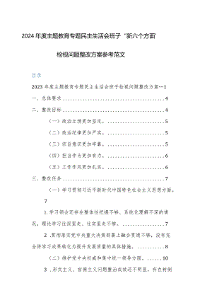 2024年度主题教育专题民主生活会班子“新六个方面”检视问题整改方案参考范文.docx