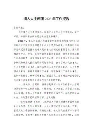 镇人大主席团2023年工作报告.docx