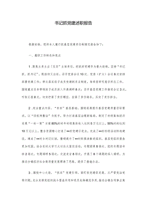 书记抓党建述职报告.docx