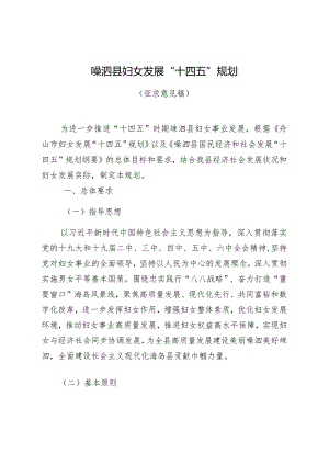 嵊泗县妇女发展“十四五”规划.docx