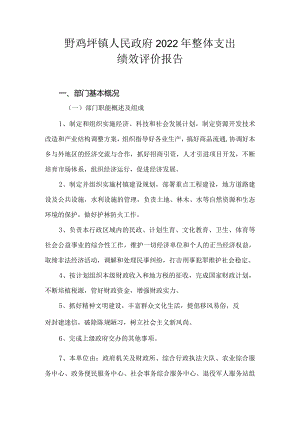 野鸡坪镇人民政府2022年整体支出绩效评价报告.docx