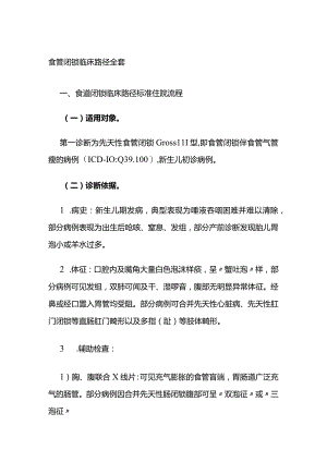 食管闭锁临床路径全套.docx