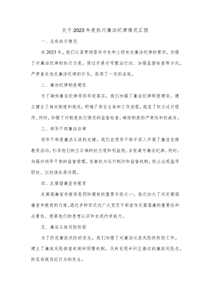 2023年度执行廉洁纪律情况汇报.docx