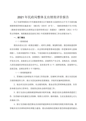 2021年民政局整体支出绩效评价报告.docx