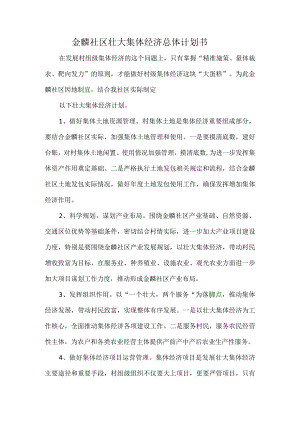 金麟社区壮大集体经济总体计划书.docx