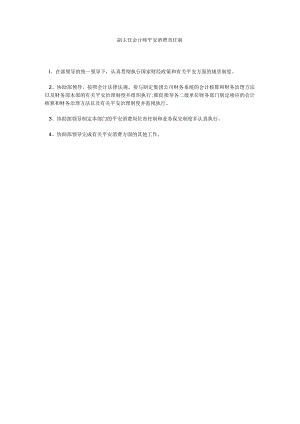 【精选】副主任会计师安全生产责任制精选.docx