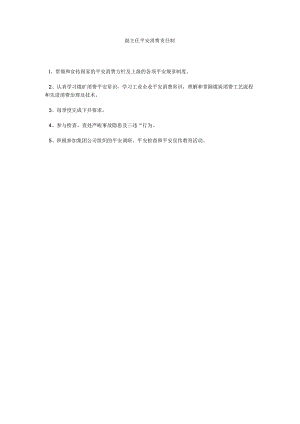 【精选】副主任安全生产责任制精选.docx