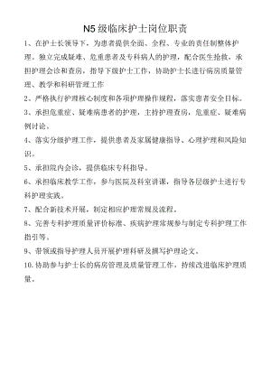 N5级临床护士岗位职责.docx