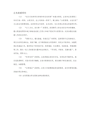 应急救援原则.docx