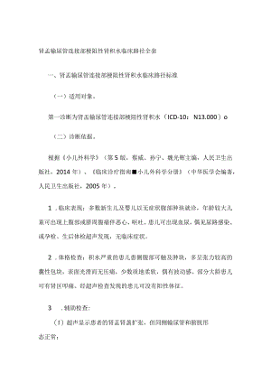 肾盂输尿管连接部梗阻性肾积水临床路径全套.docx