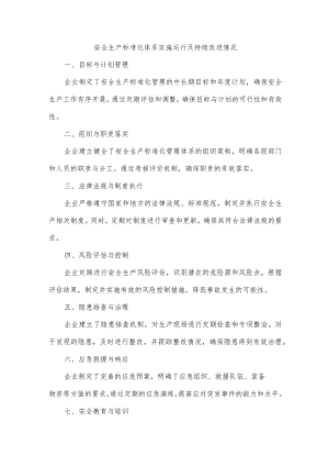 安全生产标准化体系实施运行及持续改进情况.docx