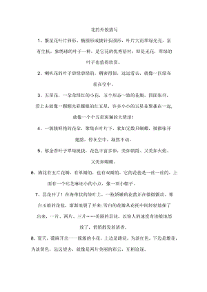 花的外貌描写.docx