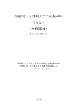 雨污管网运维第三方服务购买招标文件.docx