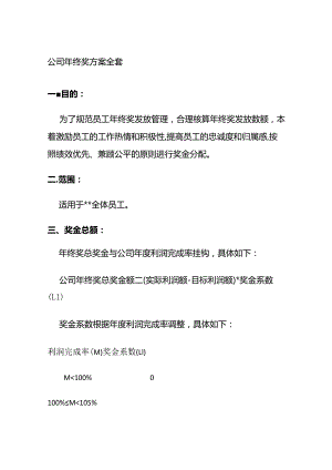 公司年终奖方案全套.docx