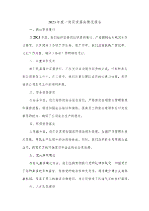 2023年度一岗双责落实情况.docx
