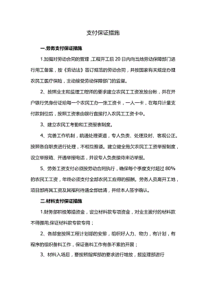 支付保证措施.docx