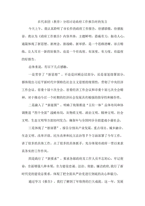 在代表团（教育）分组讨论政府工作报告时的发言.docx