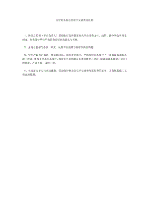 【精选】分管财务副总经理安全生产责任制精选.docx