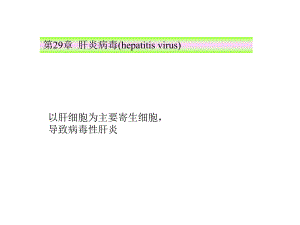 第28章 肝炎病毒[优质文档].ppt