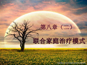个案工作——萨提亚家庭治疗模式.ppt