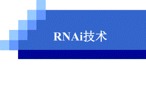 RNAi技术专题讲座PPT.ppt