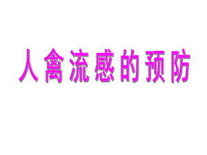 禽流感预防pptPowerPoint演示文稿.ppt