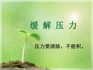 缓解压力.ppt.ppt