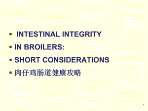 肉仔鸡肠道健康攻略.ppt
