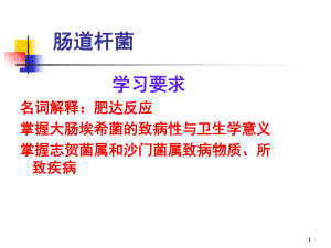 肠道杆菌.ppt