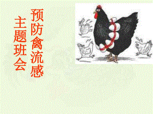 预防禽流感主题班会.ppt