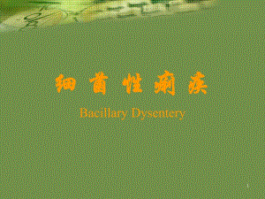 细菌性痢疾.ppt.ppt