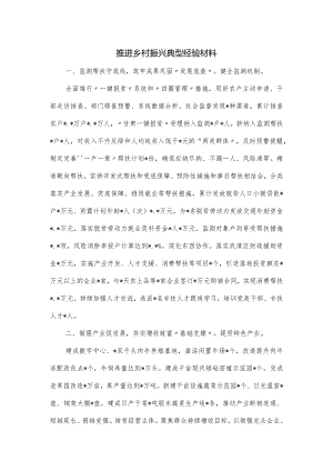 推进乡村振兴典型经验材料.docx