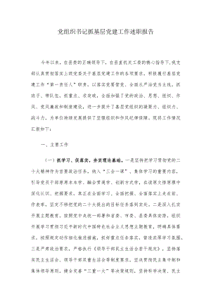 党组织书记抓基层党建工作述职报告.docx