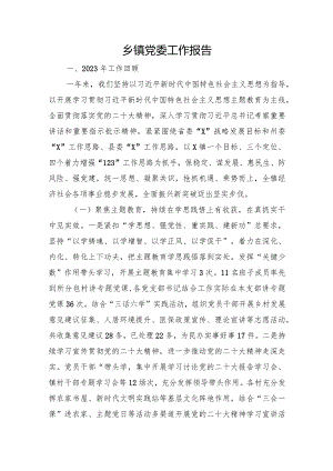 乡镇党委工作报告.docx