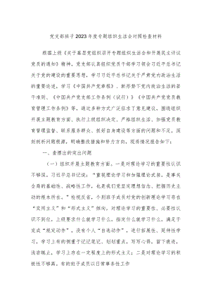 党支部班子2023年度专题组织生活会对照检查材料.docx
