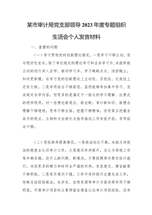 某市审计局党支部领导2023年度专题组织生活会个人发言材料.docx