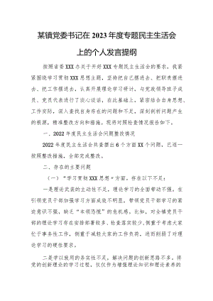某镇党委书记在2023年度专题民主生活会上的个人发言提纲.docx